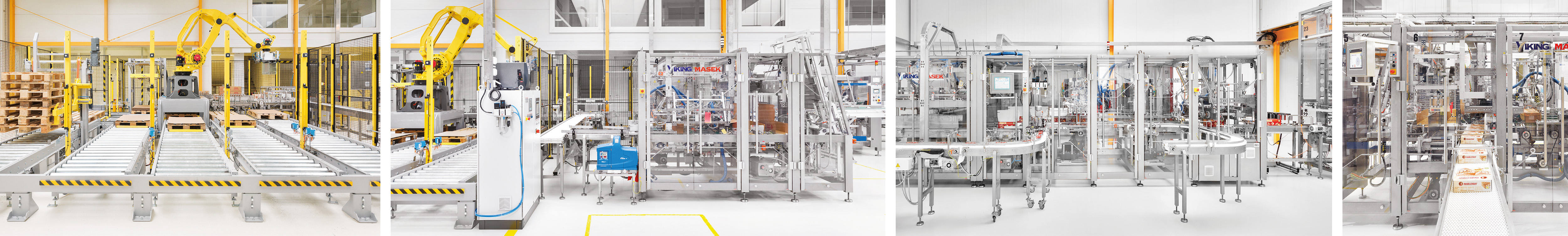 Fully Automated Customized Cartoning Solution